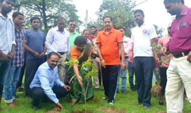 पर्यावरण संरक्षण को करें अधिक से अधिक पौधरोपण: वीसी