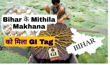 पग-पग पोखर, माछ-मखान : मिथिला की पहचान मखाना को "मिथिला मखाना" नाम से मिला GI टैग