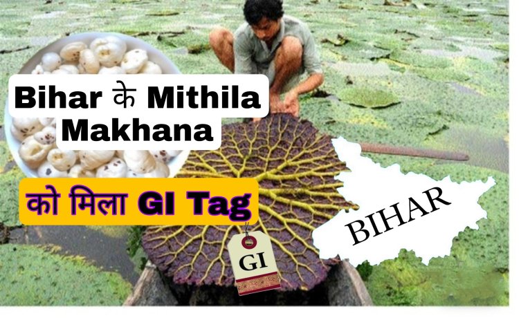 पग-पग पोखर, माछ-मखान : मिथिला की पहचान मखाना को "मिथिला मखाना" नाम से मिला GI टैग