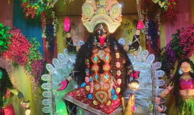 दरभंगा:- मां काली को नम आंखों से दी विदाई, ढोल-बाजा की धुन पर प्रतिमा विसर्जन में बड़ी संख्या में उमड़े श्रद्धालु