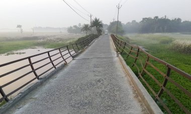 दरभंगा में कभी भी घट सकता है मोरबी-गुजरात जैसा हादसा, जर्जर यदु पिपरा पुल से माघ मास में मधुबनी, सीतामढ़ी से लेकर नेपाल तक के लाखों कांवरियों का काफिला इस पुल से होकर गुजरता है।