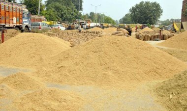 दरभंगा में धान अधिप्राप्ति नहीं करने वाले पैक्स और व्यापार मंडल के विरुद्ध होगी कार्रवाई