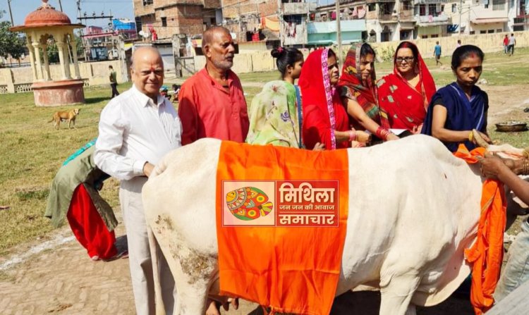 दरभंगा: मिर्ज़ापुर स्थित गोशाला में मनाई गई गोपाष्‍टमी, गोमाता का पूजन-अर्चन कर स्‍वास्‍थ्‍य कामना की गई