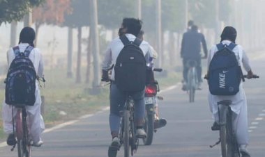 दरभंगा में 31 दिसंबर तक सभी स्कूल बंद:डीएम ने जारी किया निर्देश, ठंड को देखते हुए लिया गया निर्णय