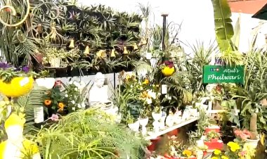 दरभंगा में 30वीं पुष्प प्रदर्शनी में फूलों की रंगत देखकर खिले चेहरे, बड़ी संख्या में उमड़े पुष्प प्रेमियों
