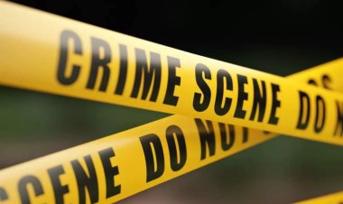 पुलिस क्या कर रही है: दिनदहाड़े घरों में घुस वारदात को अंजाम दे रहे स्नैचर